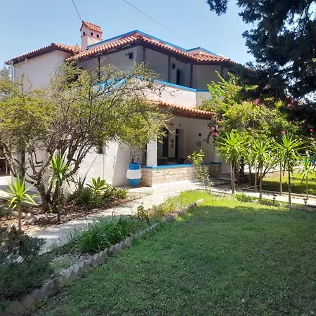 Diotima Rhodos Experience *