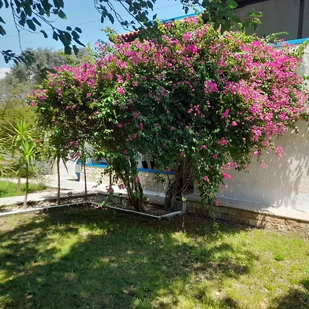 Diotima Rhodos Experience فيلة